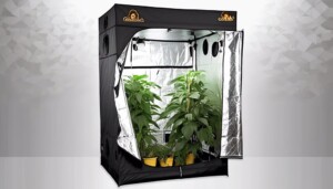 About_Gorilla_Grow_Tents_0001