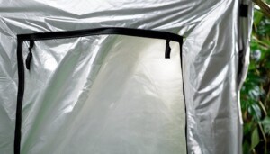Are_Gorilla_Grow_Tents_Worth_the_Investment_0001