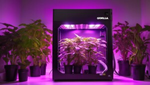 Automated_Growing_With_Gorilla_Grow_Boxes_0004
