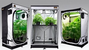 Gorilla_Grow_Box_Vs_Grow_Tent_Which_One_Is_Right_for_You_0001
