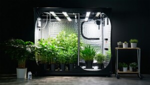 Gorilla_Grow_Tent_Kits_Complete_Indoor_Grow_Systems