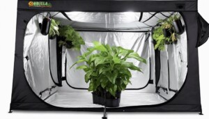 Gorilla_Grow_Tent_Reviews_What_Users_Are_Saying_0004