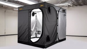Gorilla_vs_AC_Infinity_Premium_Grow_Tent_Showdown_0002