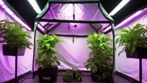 Lighting_Setup_Best_LED_and_HPS_Options_for_Gorilla_Grow_Tent_0001