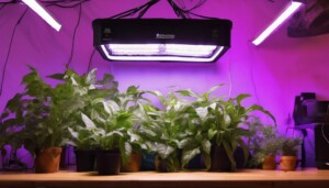 Lighting_Setup_Best_LED_and_HPS_Options_for_Gorilla_Grow_Tent_0005