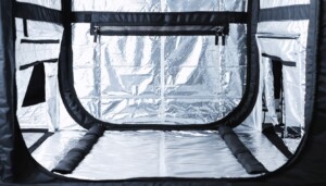 gorilla_grow_tent_0006